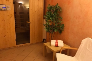 sauna infrared