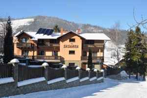 Sasanka zimą